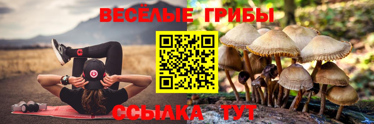 Ростов-на-Дону  Галлюциногенные грибы мухоморы  Псилоцибиновые грибы Cubensis  Вход с VPN 
